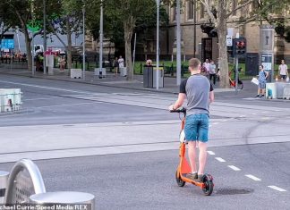 시드니 전기 스쿠터 법률 개정 위한 시범 운행 예정