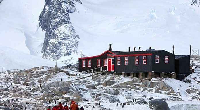 남극 우체국 구인 광고 독특한 근무 조건 Port Lockroy post office in Antarctica. Picture Supplied