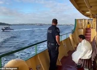 맨리 페리에서 뛰어내린 남성 체포 Water police eventually arrived and were able to drag him to safety. An officer escorted him on board the ferry, before questioning what he was doing in the water to begin with