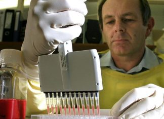 NSW 병원, ‘삼중의 위협’에 직면 A lab technician works with cultures of the influenza virus. (The Age Melanie Faith Dove)