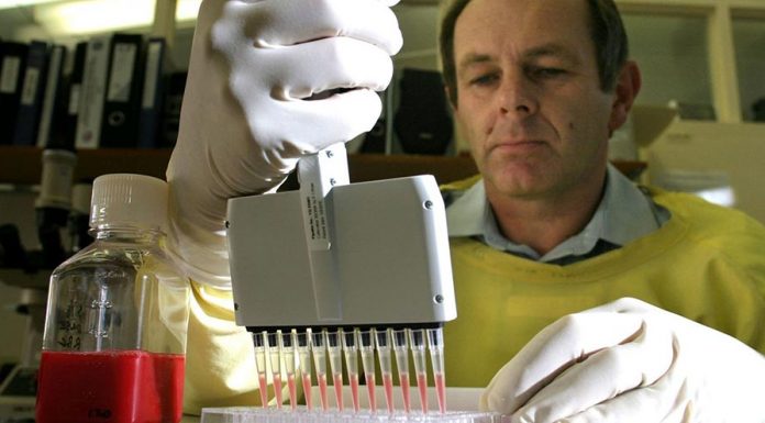 NSW 병원, ‘삼중의 위협’에 직면 A lab technician works with cultures of the influenza virus. (The Age Melanie Faith Dove)