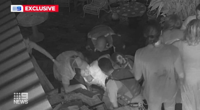 NSW NRL 선수의 어머니에게 모욕적 발언한 경비원 혐의 부인