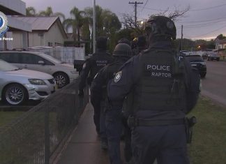 NSW 경찰, 알라메딘 ‘딜러 다이얼’ 범죄 조직 해체