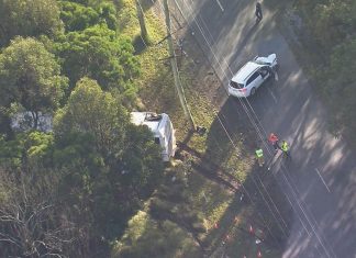 위장 순찰차와 충돌한 버스 운전사 사망