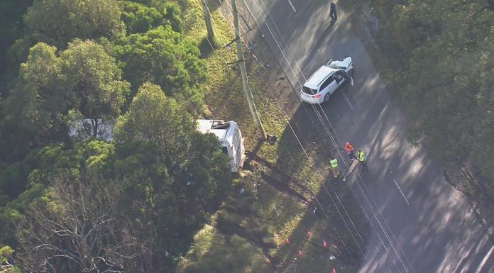 위장 순찰차와 충돌한 버스 운전사 사망