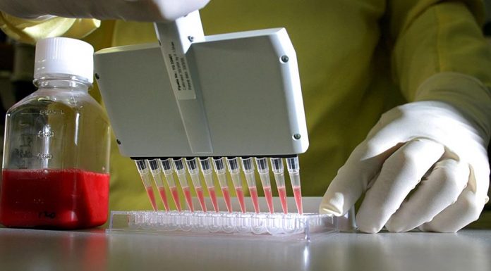 독감 환자 급증으로 독감 주사 무료 제공