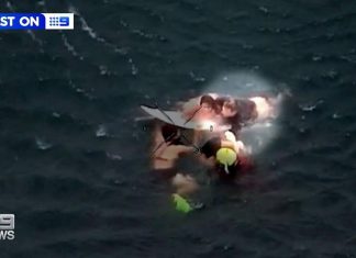 그냥 내 몫을 하는 것’ : 세 명의 생명을 구한 ‘올해의 구조’ On January 13, four women were swept off the rocks at Bushrangers Bay. (Nine)
