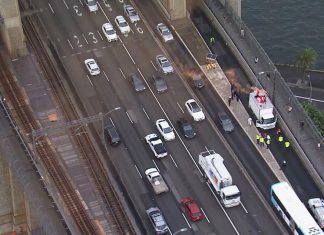 체포된 기후운동가들, 보석으로 풀려나다 Protesters on the Sydney Harbour Bridge. (9News)