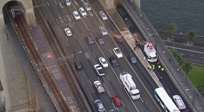 체포된 기후운동가들, 보석으로 풀려나다 Protesters on the Sydney Harbour Bridge. (9News)