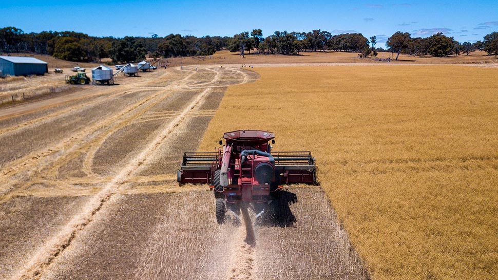 The national summer crop production in 2021–22 is also estimated to reach a new record of 5.5 million tonnes. (Supplied)