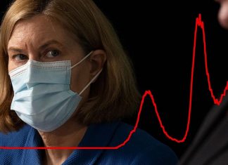 오미크론 새 변종 7월말 대유행 경고 COVID-19 cases are rising in NSW again due the latest Omicron variants. (Louise Kennerley, 9News)