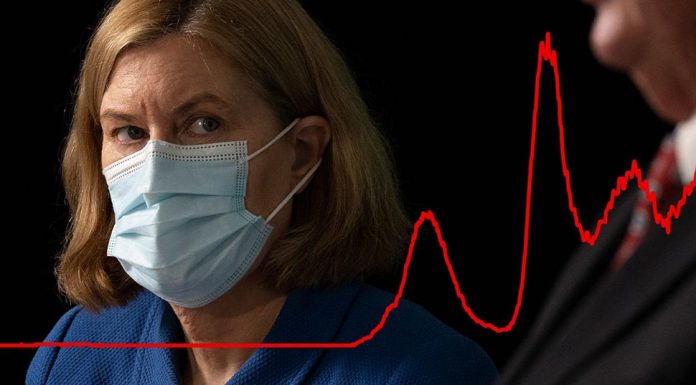 오미크론 새 변종 7월말 대유행 경고 COVID-19 cases are rising in NSW again due the latest Omicron variants. (Louise Kennerley, 9News)