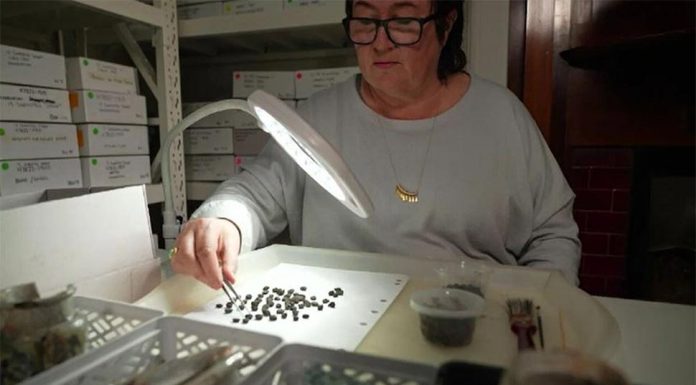 멜버른에서 167년 전의 커피 원두 발견