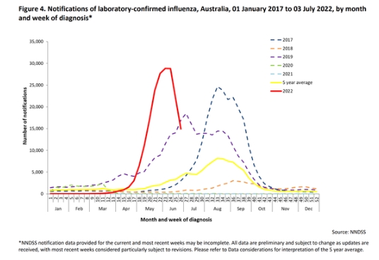 Flu cases have spiked in 2022. (Australian Influenza Surveillance Report)