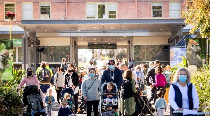 빅토리아 동물원, 구제역 위협으로부터 보호하기 위해 제한 도입 People who have livestock and who have recently returned from Indonesia are also being asked to stay away from the zoos amid fears the disease could spread in Australia. (Eddie Jim)