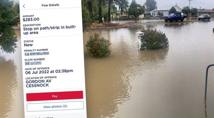 헌터지역, 자연재해에도 283달러 주차 벌금 부과