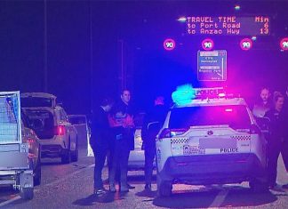 애들레이드 고속도로에서 엄마가 두 아이를 칼로 찔러 살해시도 A woman was arrested north of Adelaide after she allegedly stabbed her children at the roadside. (Nine)