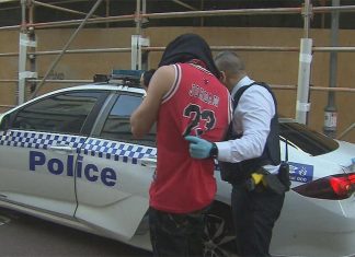 ‘무장한 남성’ 때문에 퍼스 거리 폐쇄 As officers spoke to the man, it became clear they weren't dealing with an armed robber ... but rather an adult entertainer. (Nine)