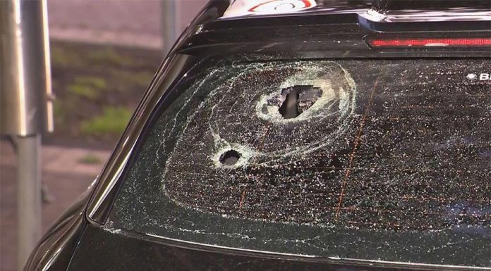 시드니 폭주족 두목 체포 Zahed was arrested after a tactical police operation in Edgecliff. (9News)