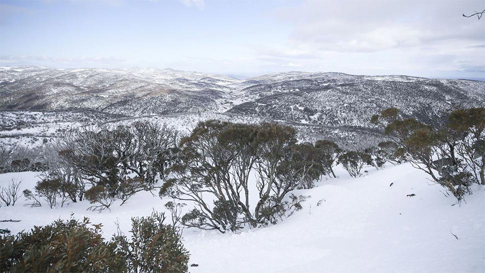 A skiier is missing in the high country in the NSW Snowy Mountains