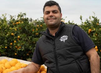 호주 농업 노동력 부족 심각 정부 대책 헛돌아 Sam Lentini, director of Eastcoast Beverages and a third-generation farmer.