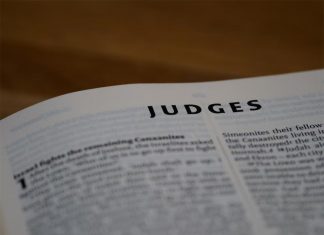 시드니, 전직 TV 프로듀서, 강간 혐의 무죄 판결