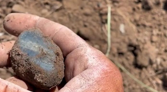 퀸즐랜드, 어린 아이의 주먹만 한 희귀한 보석 발견 Days earlier Matt Betteridge found a 359 carat sapphire at Rubyvale. (TikTok @betteridge_sapphires@)