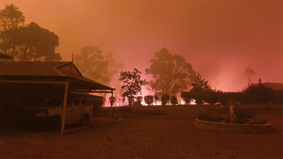 Large bushfires are less likely due to the wet weather but the risk remains. (Colin Cheetham)