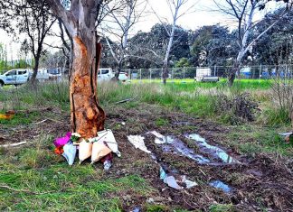 ACT, 10대 소년 과실운전으로 2명 사망 Police responded to the crash on the Monaro Highway just after 8am on Sunday and found two girls - aged 14 and 15 - dead inside the car. (AAP)