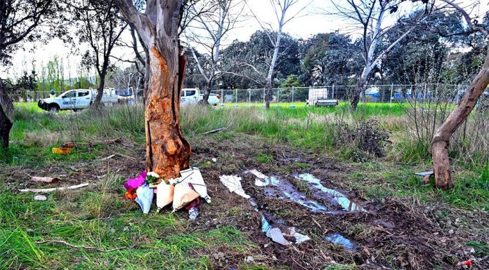 ACT, 10대 소년 과실운전으로 2명 사망 Police responded to the crash on the Monaro Highway just after 8am on Sunday and found two girls - aged 14 and 15 - dead inside the car. (AAP)