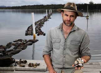 시드니 록 오이스터 맛보기 힘들다! Sydney rock oyster farmer Brad Verdich, from ASX company East 33, is asking the public to understand why oysters are more expensive and harder to come by this summer.CREDITSHANE CHALKER