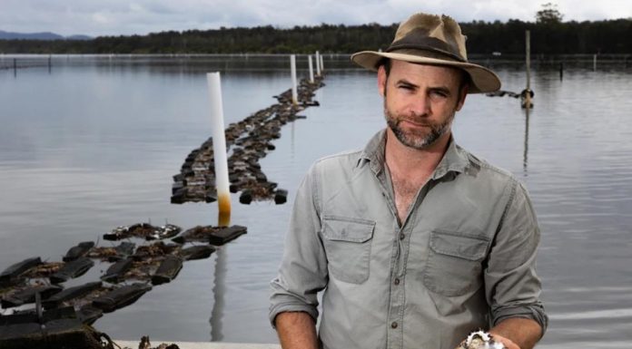 시드니 록 오이스터 맛보기 힘들다! Sydney rock oyster farmer Brad Verdich, from ASX company East 33, is asking the public to understand why oysters are more expensive and harder to come by this summer.CREDITSHANE CHALKER