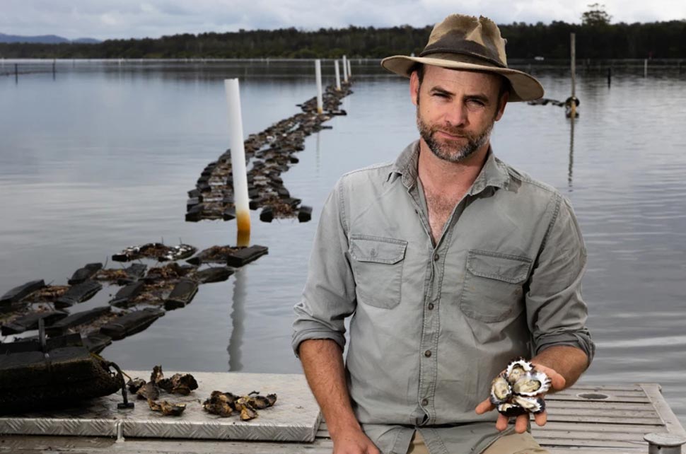 Sydney rock oyster farmer Brad Verdich, from ASX company East 33, is asking the public to understand why oysters are more expensive and harder to come by this summer.CREDITSHANE CHALKER