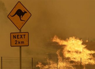 호주 기상청, 광범위한 홍수와 조기 사이클론 예측 While large bushfires are less likely, continuing wet conditions may further increase grass growth, which can lead to increased risk from grassfires. (AP)