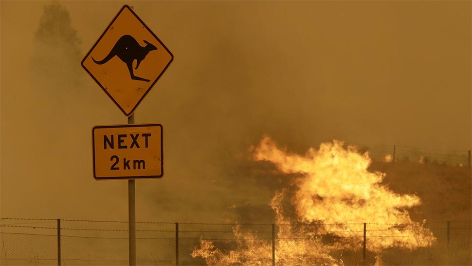 While large bushfires are less likely, continuing wet conditions may further increase grass growth, which can lead to increased risk from grassfires. (AP)