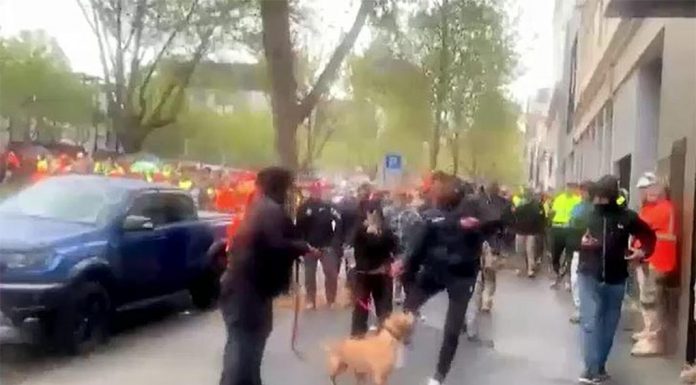 멜버른 ‘무방비한’ 개를 발로 찬 남자, 유죄 판결 A man who kicked a dog at an anti-COVID protest was found guilty of deliberate cruelty. (Nine)