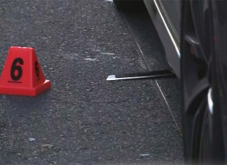 트럭 운전사, 멜버른 CBD에서 차량 탈취 사건 저지 A meat cleaver has been seen lying under the Audi. (Nine)