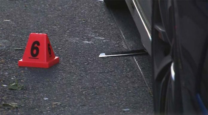 트럭 운전사, 멜버른 CBD에서 차량 탈취 사건 저지 A meat cleaver has been seen lying under the Audi. (Nine)