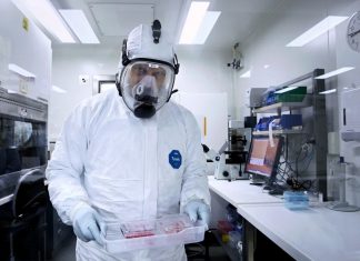 NSW주 코비드 19 새 유행 진입 – 입원환자 증가 Associate Professor Stuart Turville, a virologist at the Kirby Institute, carries a COVID-19 Omicron variant sample to analyse antibody reaction.CREDITKATE GERAGHTY