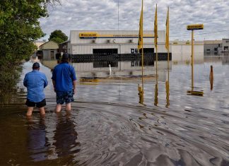 일본뇌염 위험이 가장 높은 NSW 위치 공개 Experts are tipping an increase in mosquito numbers caused by heavy rainfall and floods. (Nick Moir)