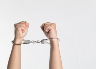 비자 사기 범죄 공모 혐의로 기소된 전 NSW 하원의원 NIU NIU UNSPLASH