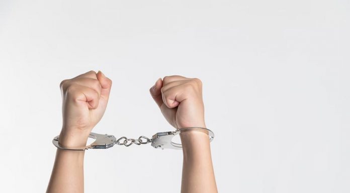 비자 사기 범죄 공모 혐의로 기소된 전 NSW 하원의원 NIU NIU UNSPLASH