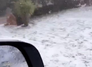 NSW에서 퀸즐랜드로 향하는 폭우와 우박 Port Macquarie was battered by heavy hail yesterday afternoon, with residents taking footage of what looked like a winter wonderland, days out from December. (Nine)