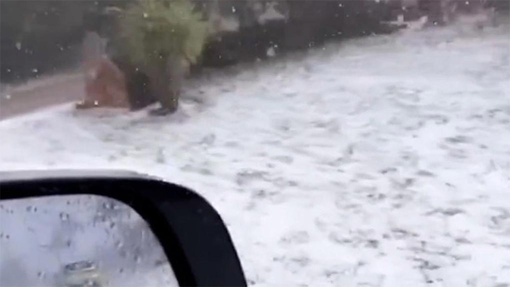 Port Macquarie was battered by heavy hail yesterday afternoon, with residents taking footage of what looked like a winter wonderland, days out from December. (Nine)