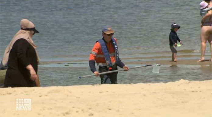 빅토리아 주, 건강을 위협하는 수질 때문에 수영하지 말라고 경고 Victorians have been warned not to swim at Melbourne beaches due to the risk of gastro. (Nine)