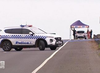 멜버른, 남매간 언쟁 후 이동 중인 차에서 뛰어내린 여성