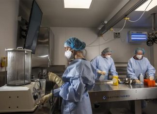 시드니 공동묘지 만원 At Guardian Funerals in Lidcombe, morticians Katie Cassidy, Jo Place and Thalia McMurray clean their station.CREDITSTEVEN SIEWERT