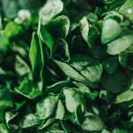 NATHAN DUMLAO_UNSPLASH