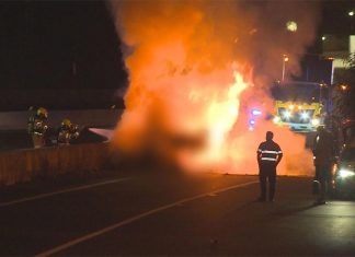시드니 경찰의 추격이 화염 폭발로 이어져, 두 명 사망 Two people have died after a police pursuit ended in a car fire in Sydney overnight. (9News)