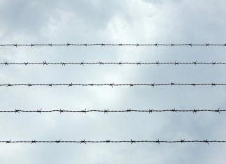 시드니, 29년동안 숨어있었던 탈옥자 designer_magdeburg